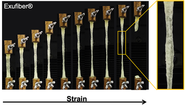 Strain-A.jpg