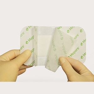 Step 1 of Mepore application